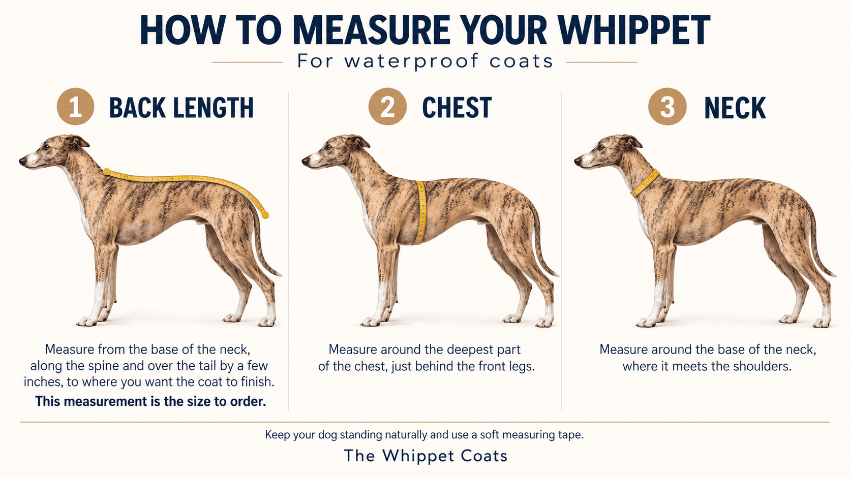Whippet Waterproof Fleece Lined Coat – Warm Winter Dog Coat for Whippets, Greyhounds & Lurchers - Image 5